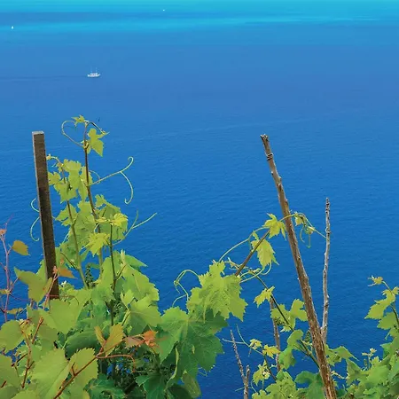 度假居 Five-bedroom In 奥瑞比克