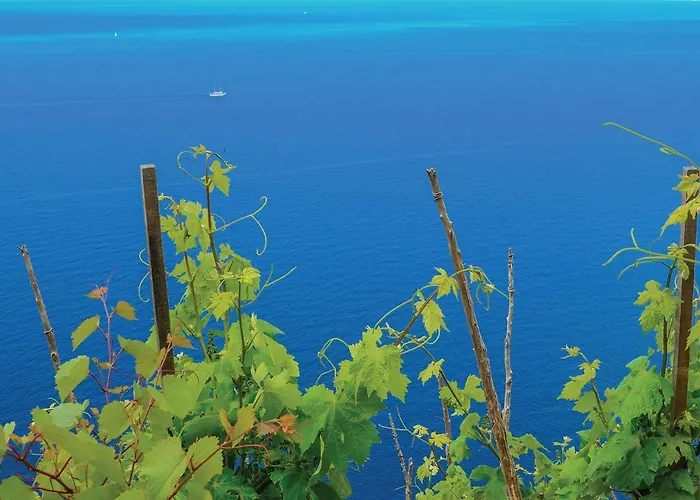 بيت للعطل Five-bedroom In أوروبيتش